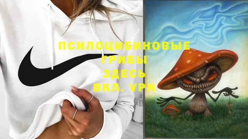 Псилоцибиновые грибы Magic Shrooms  Жердевка 